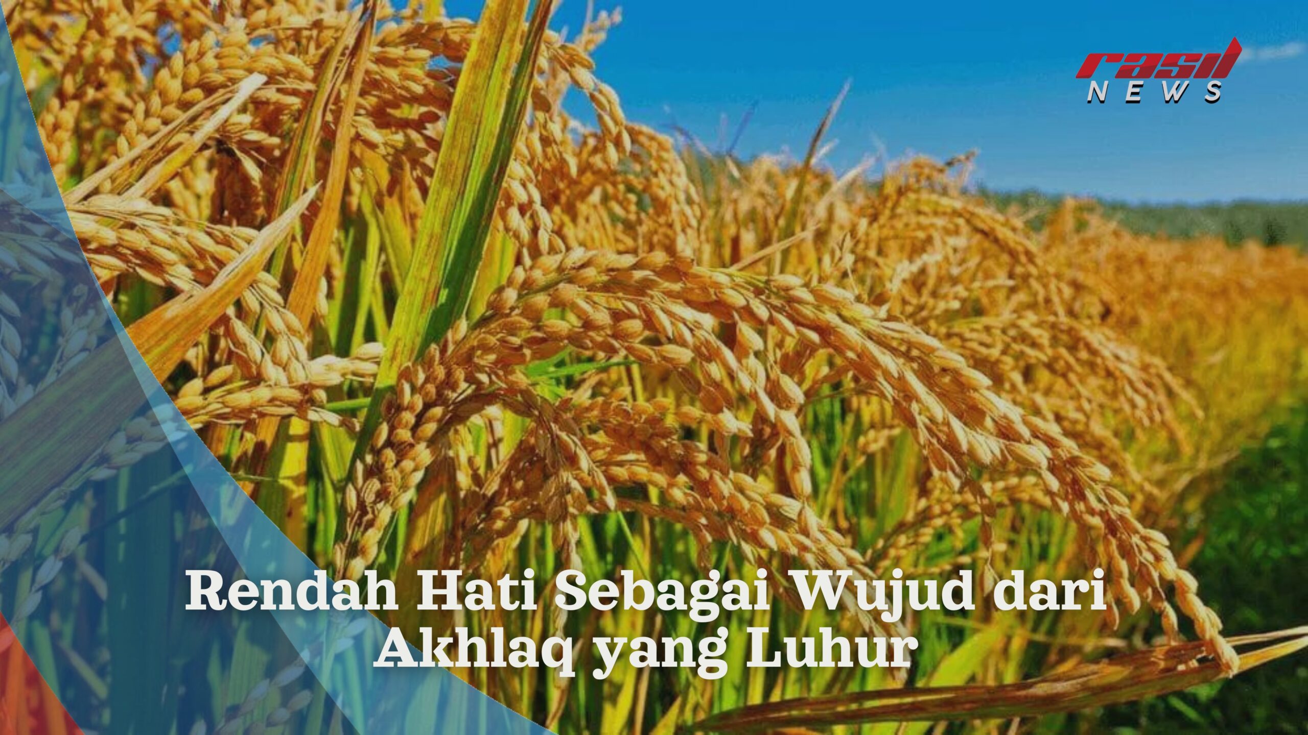 Rendah Hati Sebagai Wujud dari Akhlaq yang Luhur