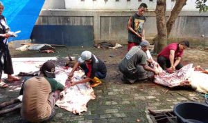Abdullah Hehamahua Nilai Hewan Kurban dari Prabowo Lebih Tepat Disebut Bantuan Sosial