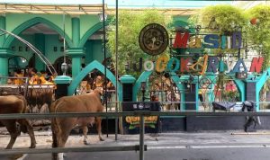 Masjid Jogokariyan Distribusikan Daging Kurban ke Puluhan Masjid di DIY dan Jawa Tengah