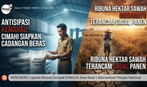 Antisipasi Kemarau, Cimahi Siapkan Cadangan Beras Saat Ribuan Hektare Sawah Indramayu Terancam Gagal Panen
