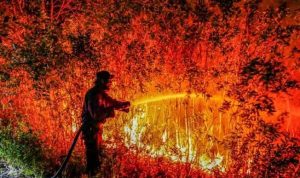 Nuim Khaiyath Kritik Tata Kelola Hutan Indonesia di Tengah Ancaman Kabut Asap Lintas Negara